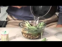 Basura Bitkisel Çözüm